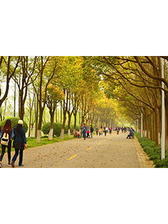 《春日喧闹》上海爱森 游丕荣